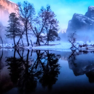 Meet your Posher, Nolbis